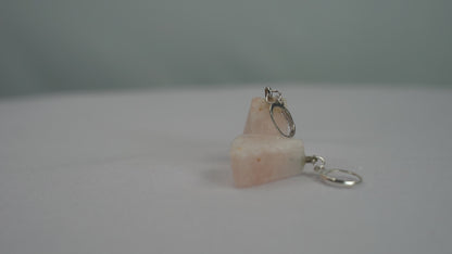 Salt Earrings (5 Types)